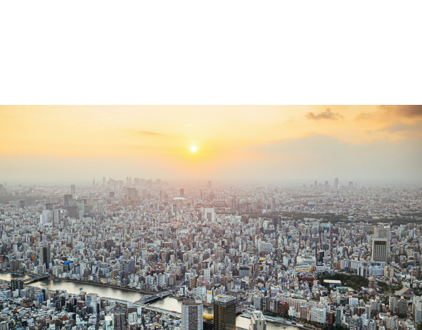 第一生命グループの経営戦略